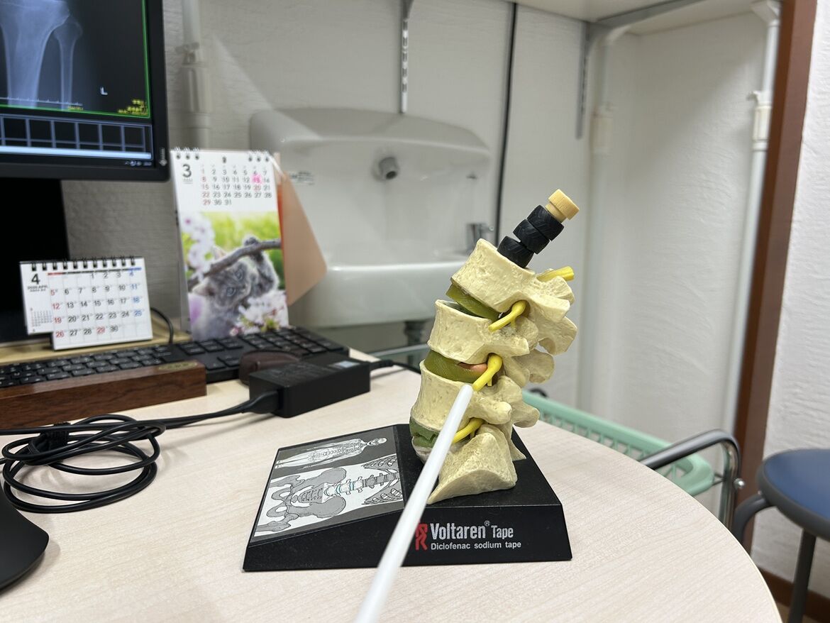 お悩みの原因を正しく見極める専門性